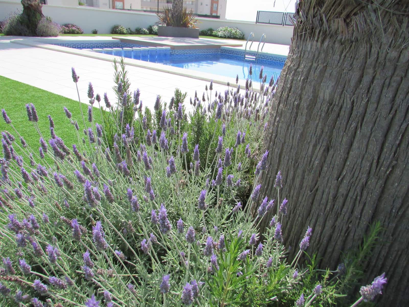 3 bedroom Apartment for sale in Orihuela Costa with pool - € 199,000 (Ref: 9401806)