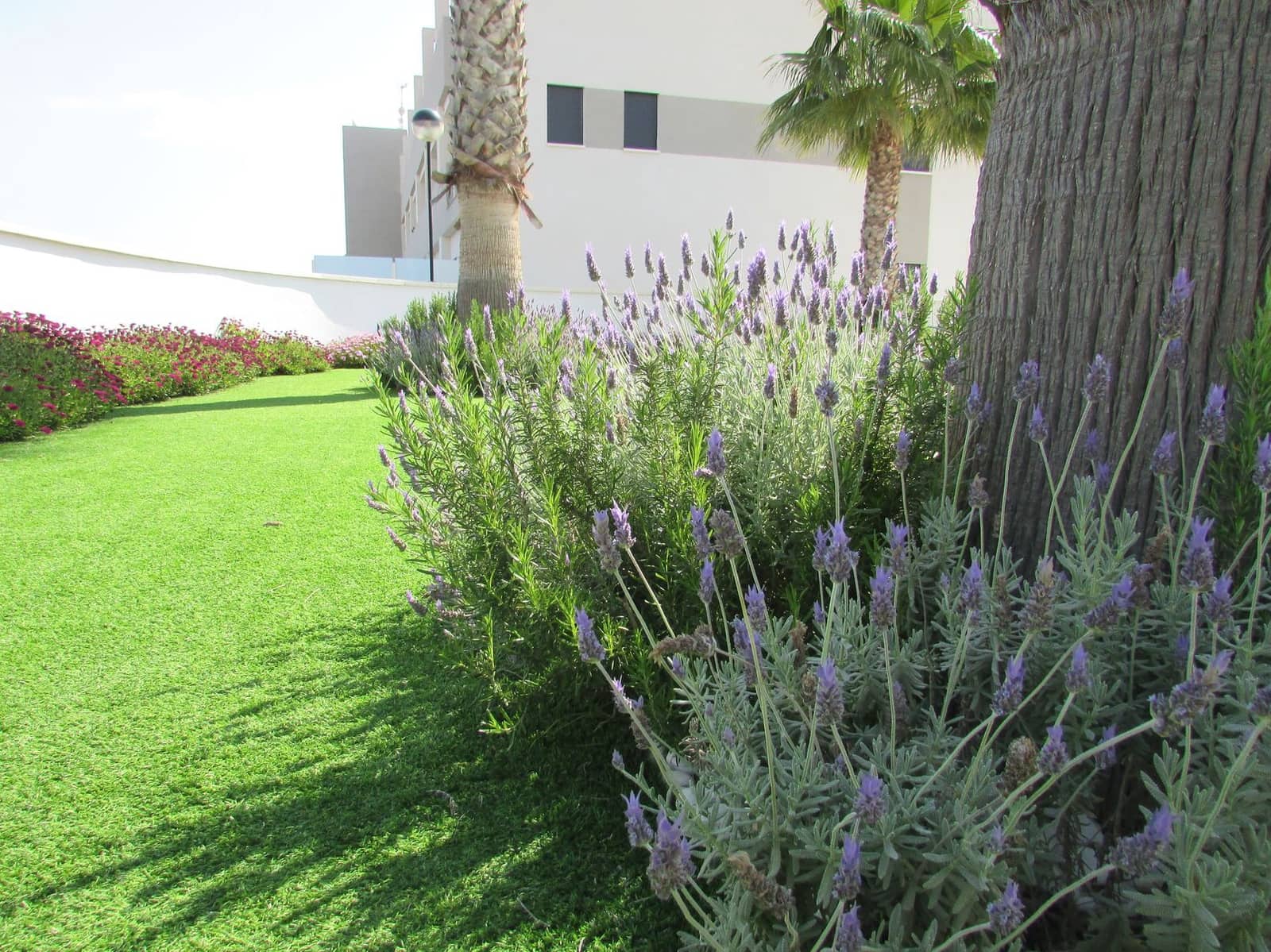 3 bedroom Apartment for sale in Orihuela Costa with pool - € 199,000 (Ref: 9401806)