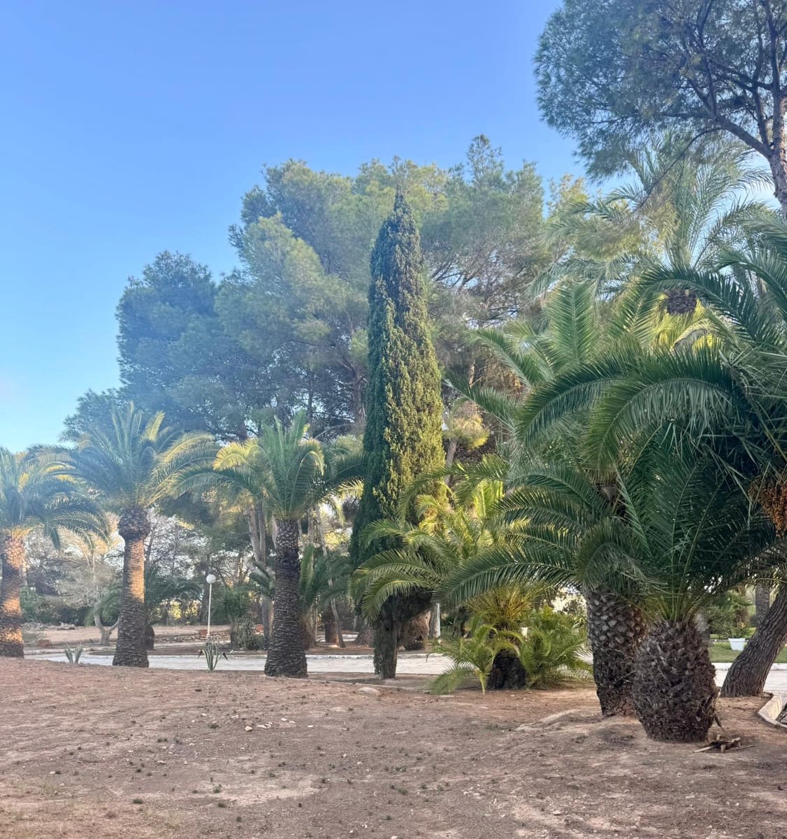3 Zimmer Finca/Landgut zu verkaufen in Orihuela Costa mit Pool - 1.199.000 € (Ref: 9588055)