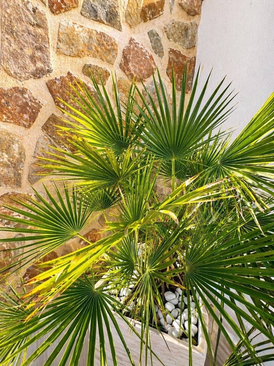 2 bedroom Townhouse for sale in Orihuela Costa - € 345,000 (Ref: 9795014)