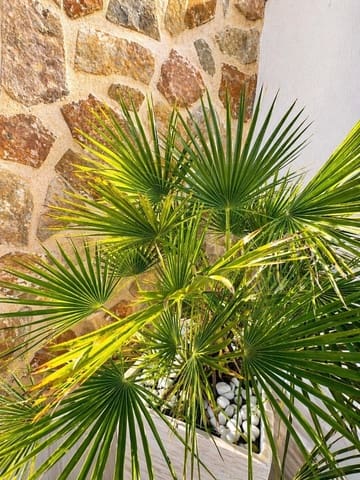 2 soveværelse Byhus til salg i Orihuela Costa, Orihuela - € 345.000 (Ref: 9795014)