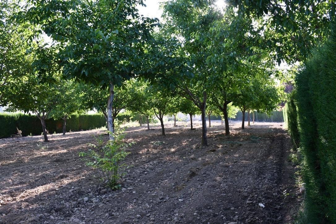 3 bedroom Finca/Country House for sale in Puebla de Don Fadrique - € 380,000 (Ref: 9846629)