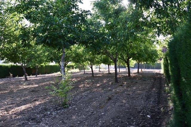 3 camera da letto Finca/Casa di Campagna in vendita in Puebla de Don Fadrique - 380.000 € (Rif: 9846629)
