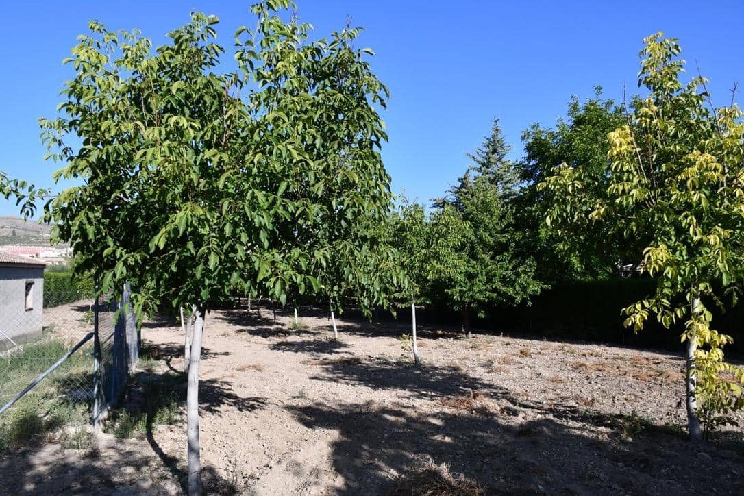 3 bedroom Finca/Country House for sale in Puebla de Don Fadrique - € 380,000 (Ref: 9846629)