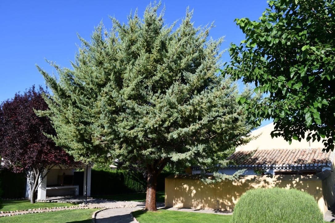 3 bedroom Finca/Country House for sale in Puebla de Don Fadrique - € 380,000 (Ref: 9846629)