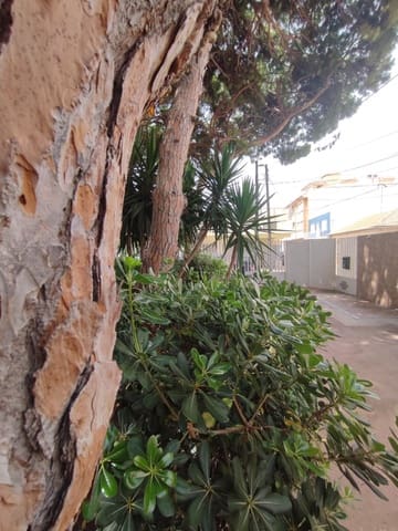 1 soveværelse Strandlejlighed til salg i Lo Pagan, San Pedro del Pinatar - € 101.000 (Ref: 10000897)