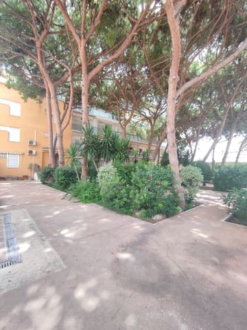 1 soveværelse Strandlejlighed til salg i Lo Pagan, San Pedro del Pinatar - € 101.000 (Ref: 10000897)