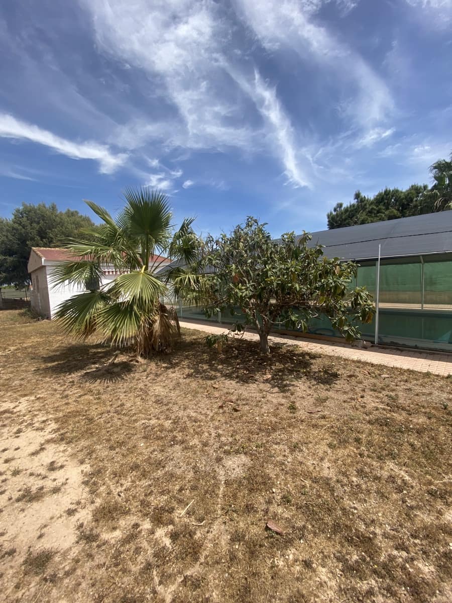 4 soveværelse Finca/Landehus til salg i La Palma med swimmingpool garage - € 285.000 (Ref: 6744090)