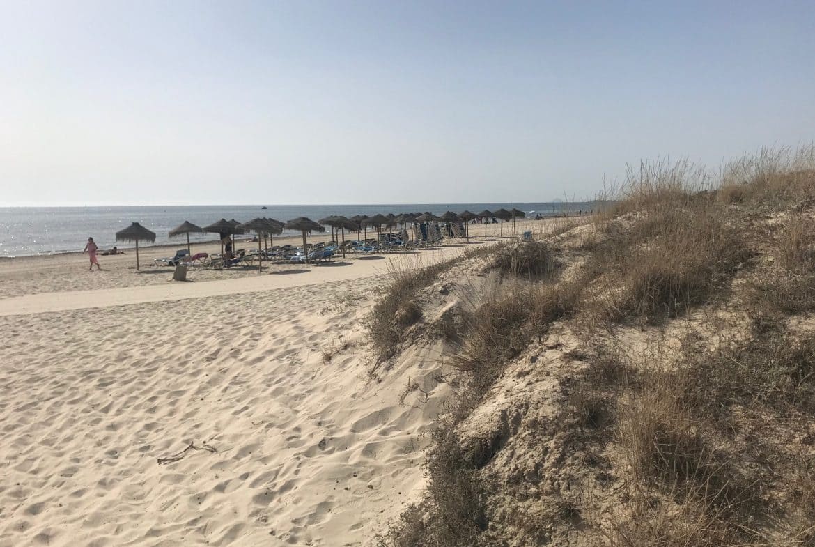 2 Zimmer Apartment zu verkaufen in Pilar de la Horadada mit Pool - 205.000 € (Ref: 7953266)