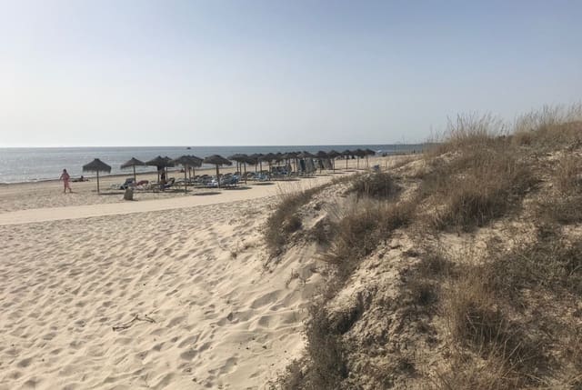 Chalet de 3 habitaciones en Pilar de la Horadada en venta con piscina garaje - 439.000 € (Ref: 8045907)