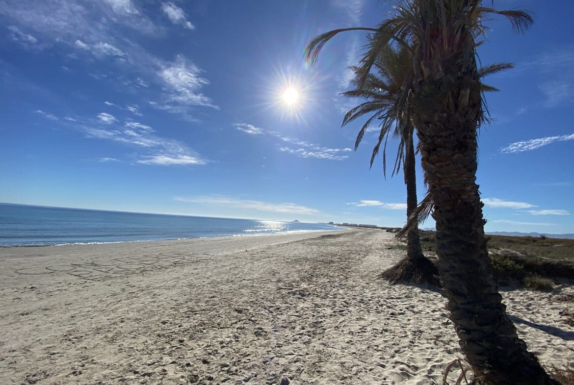 Chalet de 3 habitaciones en Pilar de la Horadada en venta con piscina garaje - 439.000 € (Ref: 8045907)