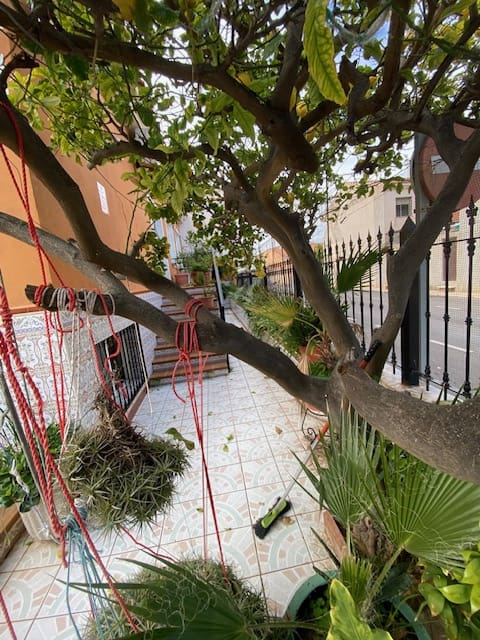 5 soveværelse Villa til salg i San Pedro del Pinatar med garage - € 295.000 (Ref: 9238795)