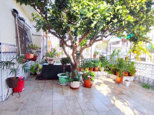 Villa in Lo Pagan - Image 4