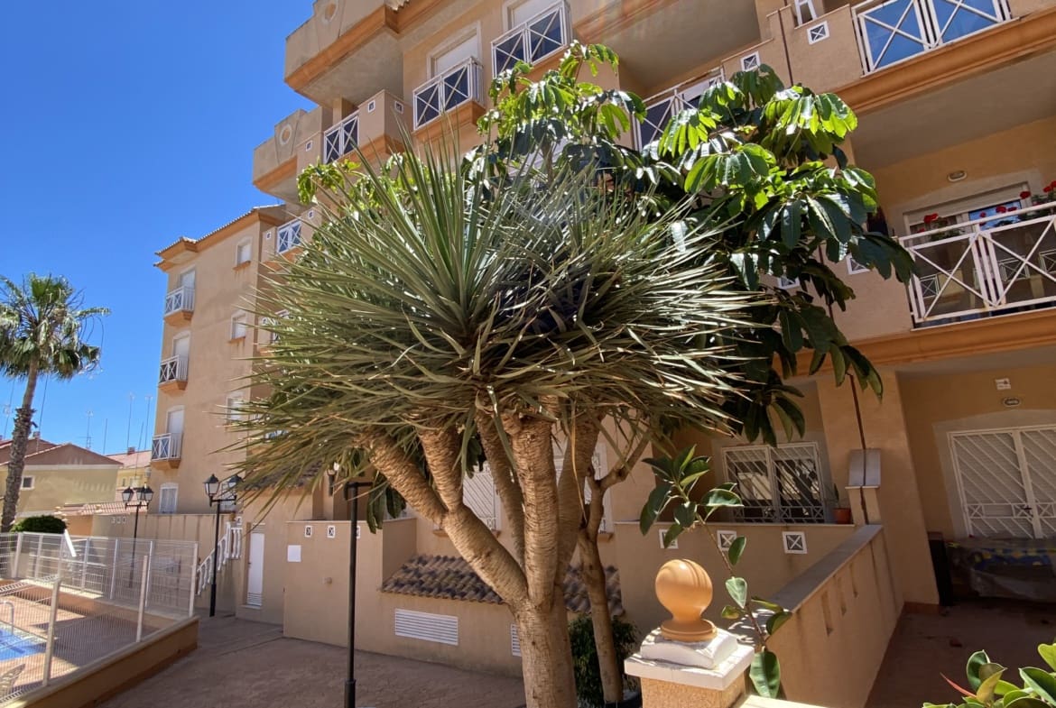 2 bedroom Apartment for sale in San Pedro del Pinatar with pool garage - € 139,995 (Ref: 9958500)