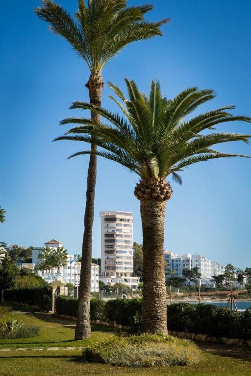 1 bedroom Beach Apartment for holiday rental in Malaga city with pool garage - € 350 (Ref: 7611187)