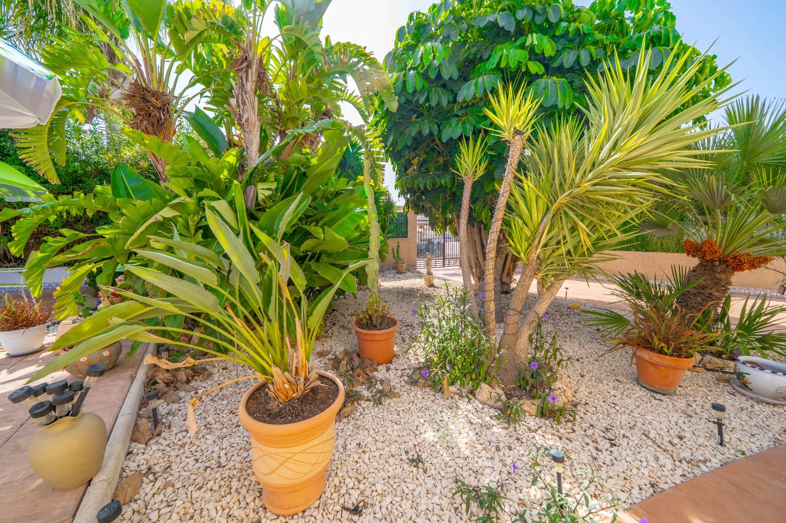 3 soveværelse Villa til salg i La Marina med swimmingpool - € 359.000 (Ref: 10035837)
