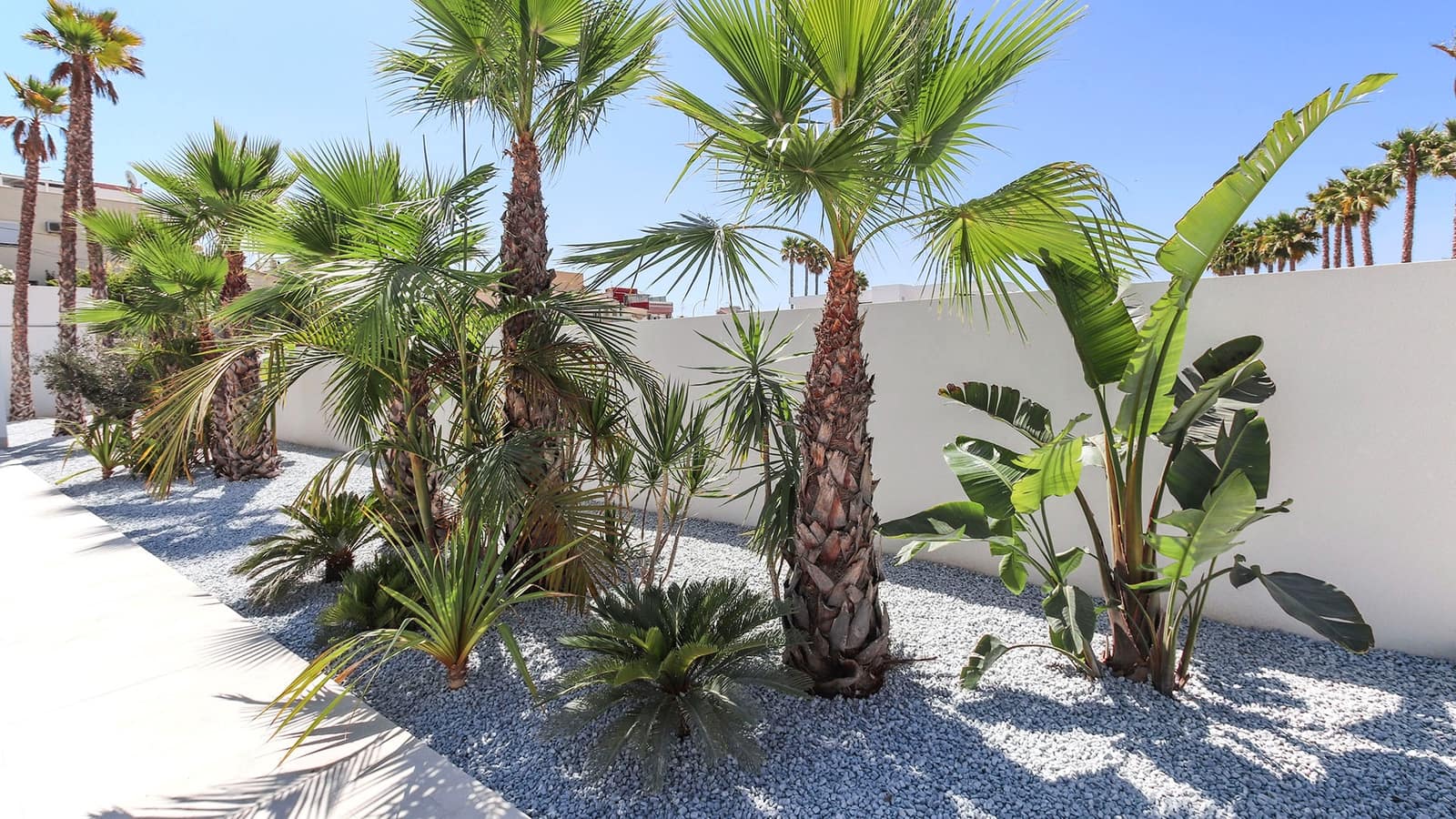 5 slaapkamer Villa te koop in La Marina met zwembad - € 988.500 (Ref: 8047080)