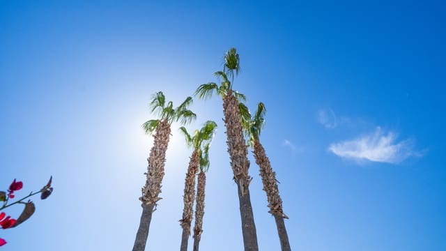 3 slaapkamer Villa te koop in La Escuera, San Fulgencio met zwembad garage - € 495.000 (Ref: 8274421)