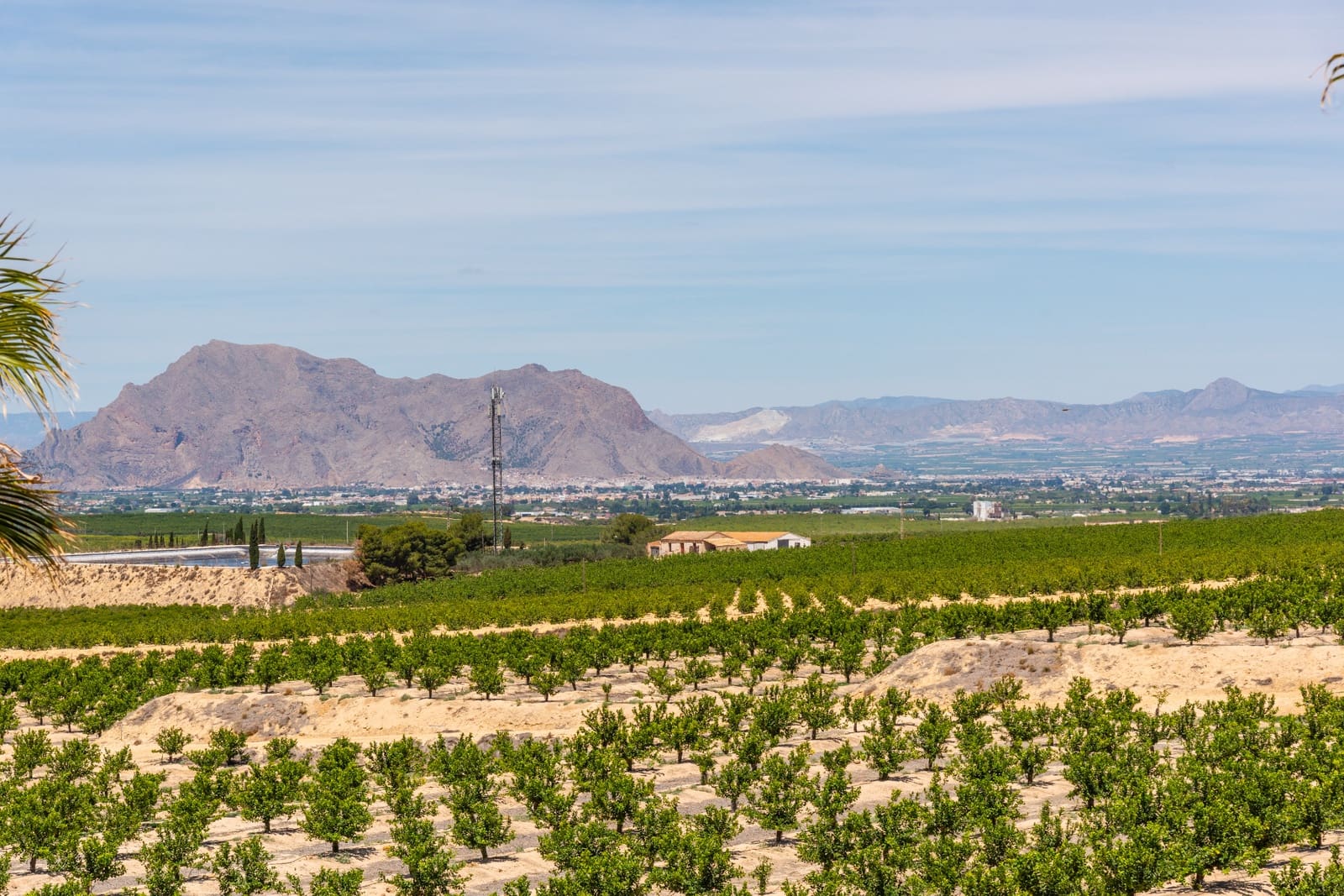 3 slaapkamer Villa te koop in Algorfa met zwembad - € 445.000 (Ref: 8533204)