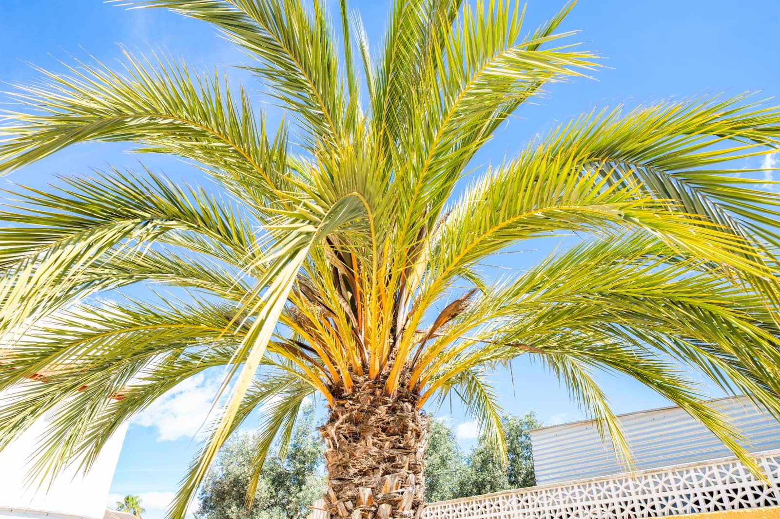 4 bedroom Villa for sale in San Fulgencio - € 325,000 (Ref: 8942057)