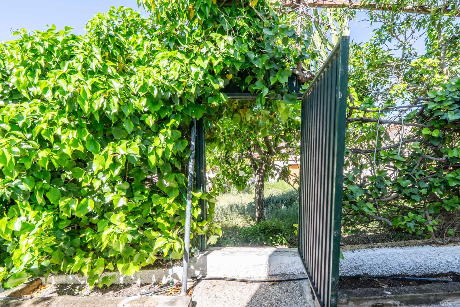 2 soveværelse Villa til salg i La Marina med swimmingpool - € 225.000 (Ref: 9771890)