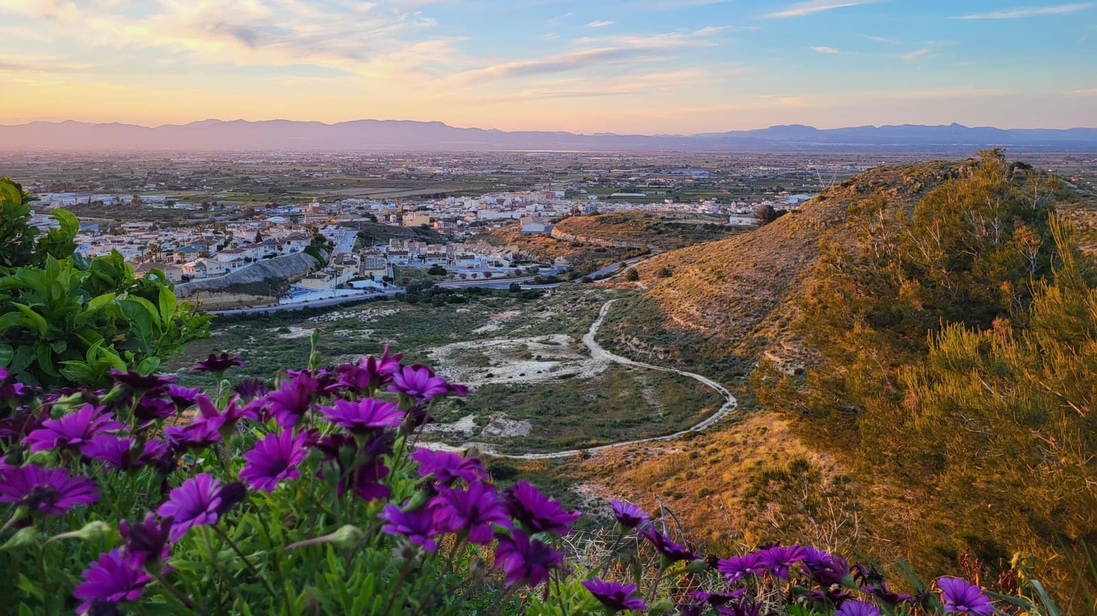 2 sypialnia Dom szeregowy na sprzedaż w Ciudad Quesada - 150 000 € (Ref: 9784974)