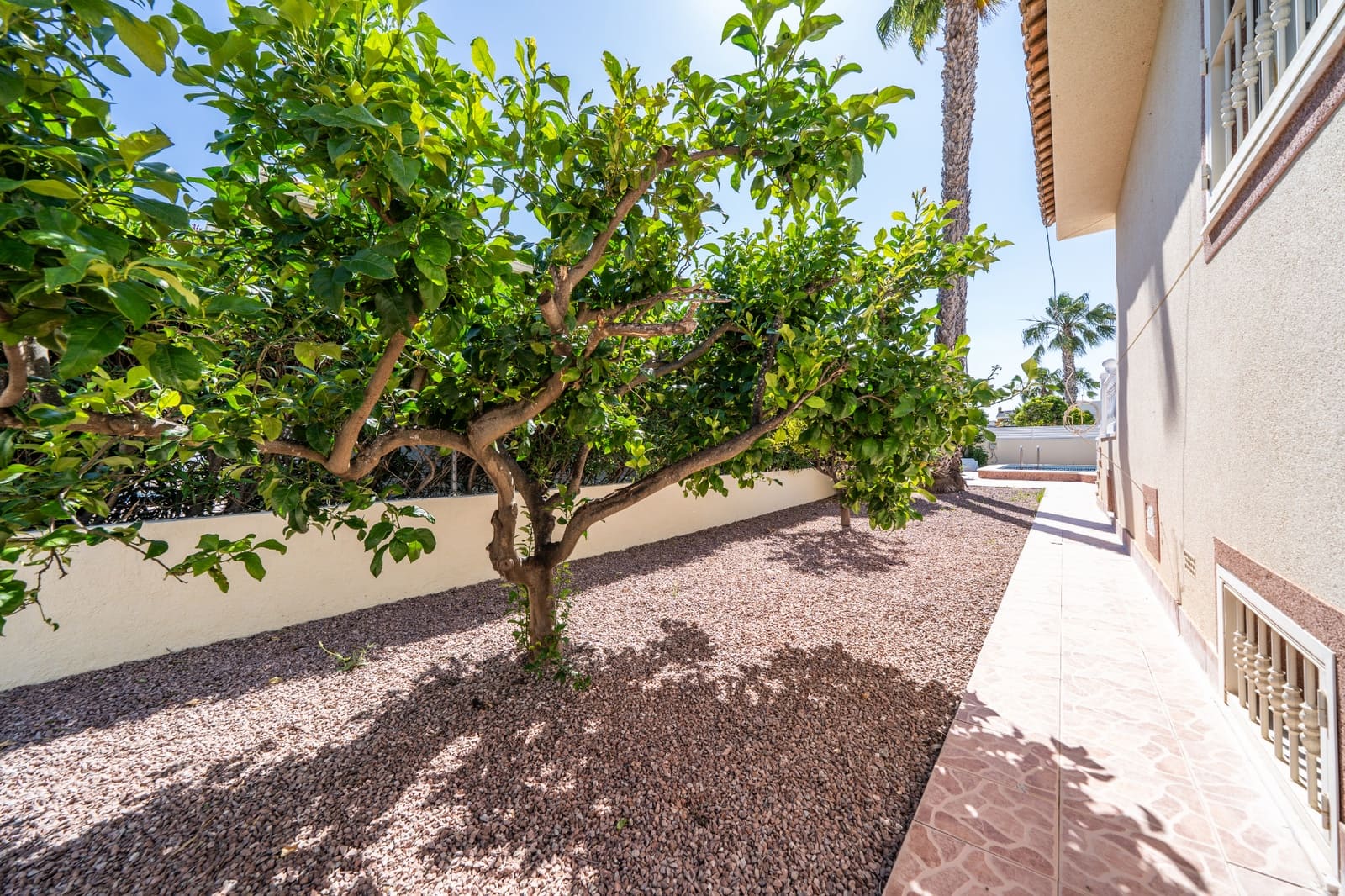 4 soveværelse Villa til salg i La Marina med swimmingpool - € 425.000 (Ref: 9850178)