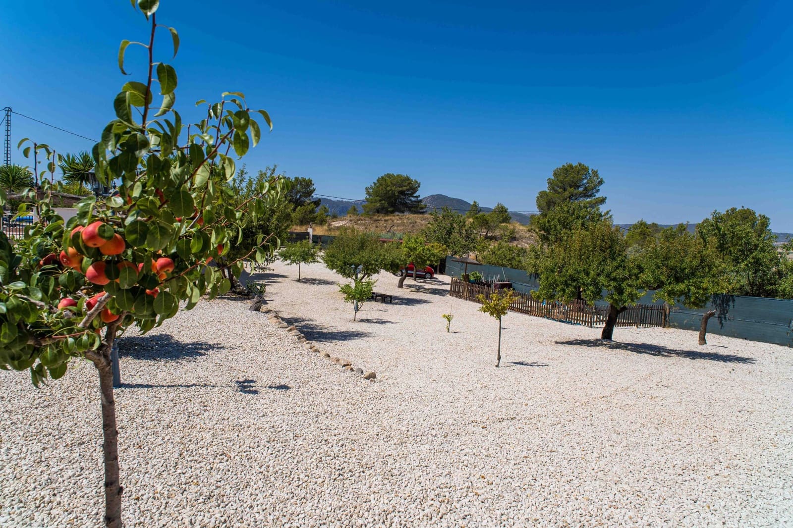 Chalet de 3 habitaciones en Monóvar / Monóver en venta con piscina - 285.000 € (Ref: 10000136)