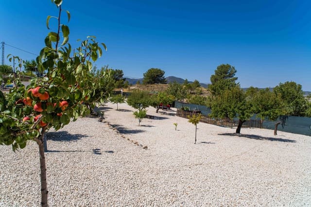 Chalet de 3 habitaciones en Monóvar / Monóver en venta con piscina - 285.000 € (Ref: 10000136)