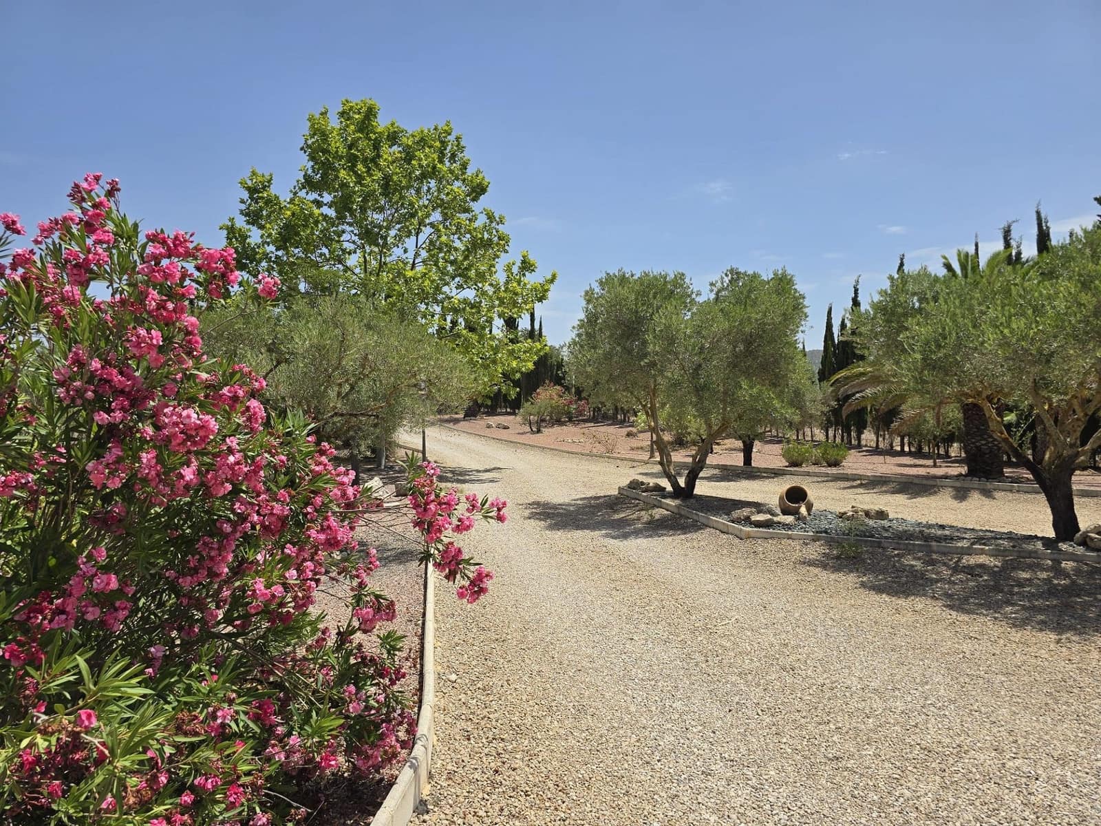 6 Zimmer Villa zu verkaufen in Salinas mit Pool Garage - 595.000 € (Ref: 10019580)