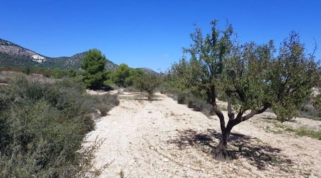 Mark till salu i Monóvar / Monóver - 39 999 € (Ref: 7620018)