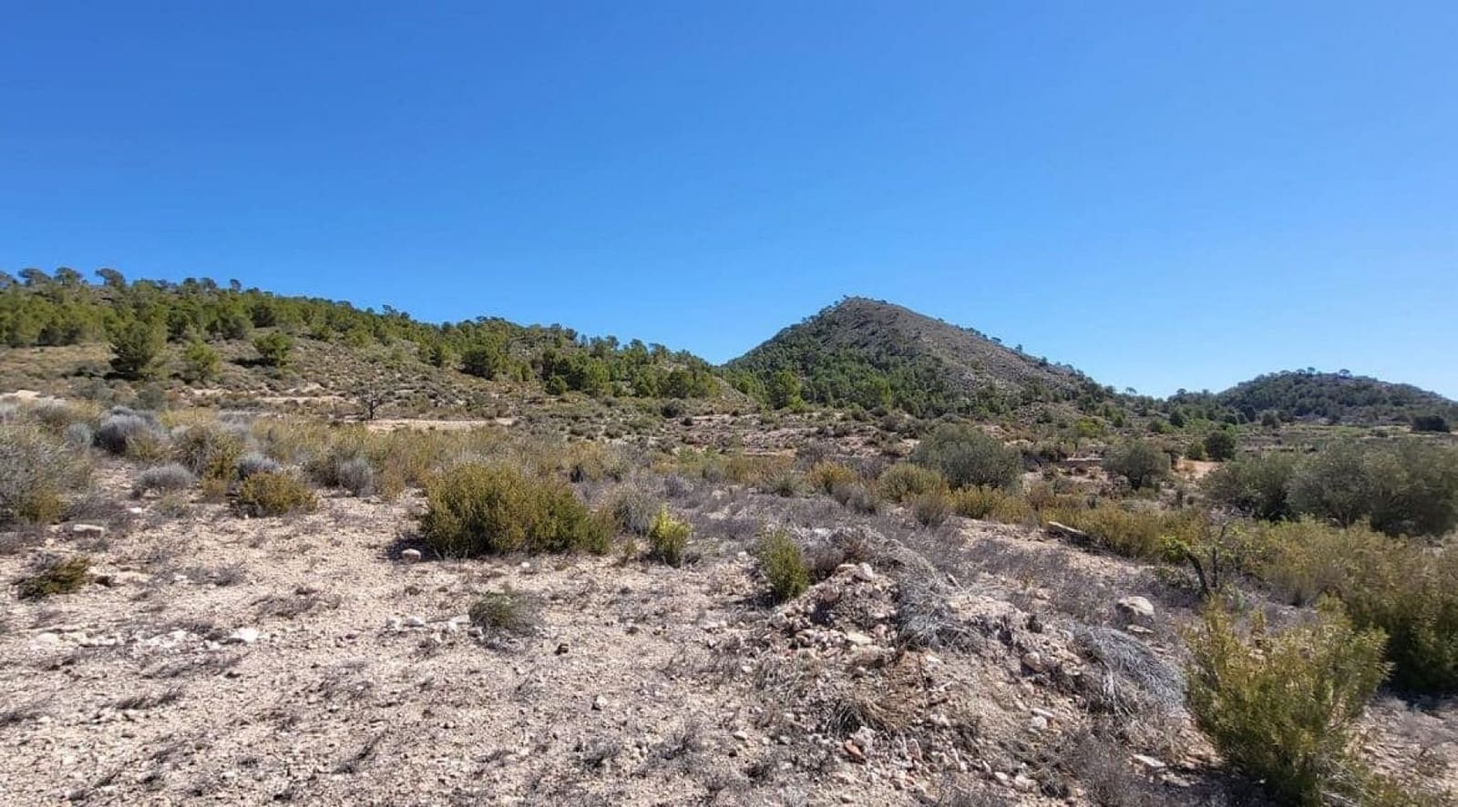 Mark till salu i Monovar / Monover - 35 000 € (Ref: 8242454)