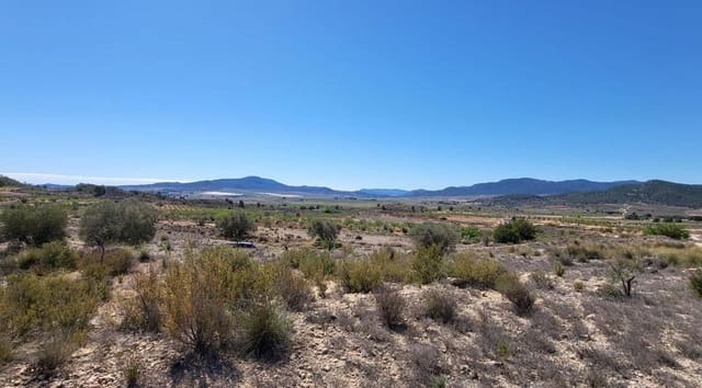 Mark till salu i Monóvar / Monóver - 35 000 € (Ref: 8242454)