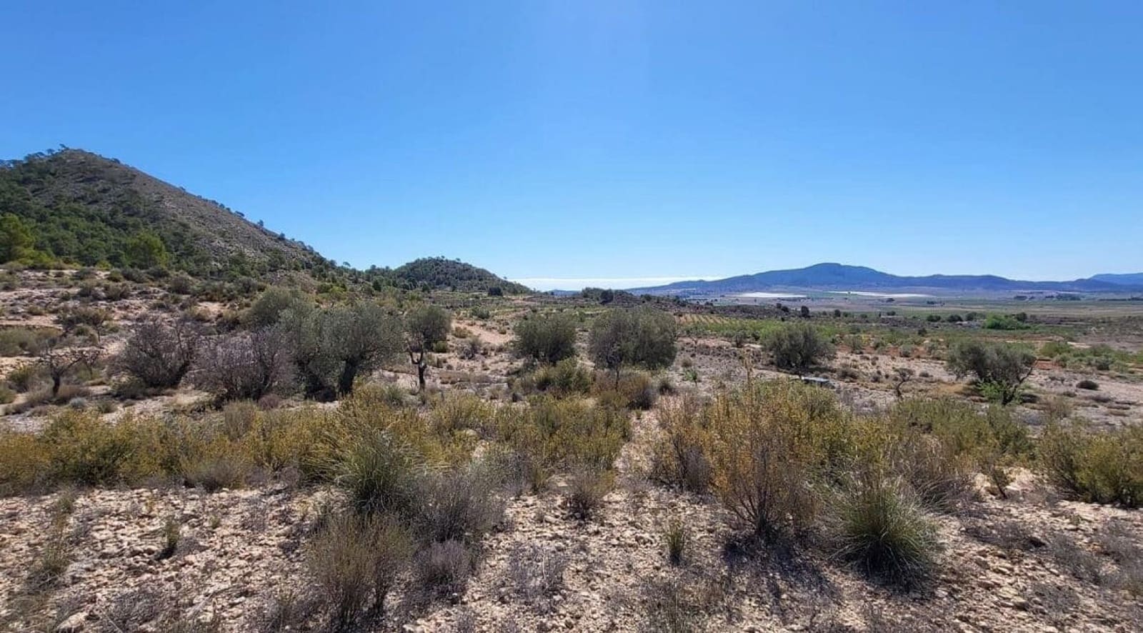 Mark till salu i Monovar / Monover - 35 000 € (Ref: 8242454)