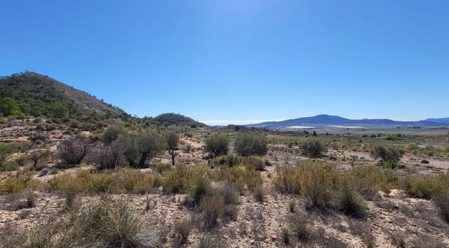 Mark till salu i Monóvar / Monóver - 35 000 € (Ref: 8242454)