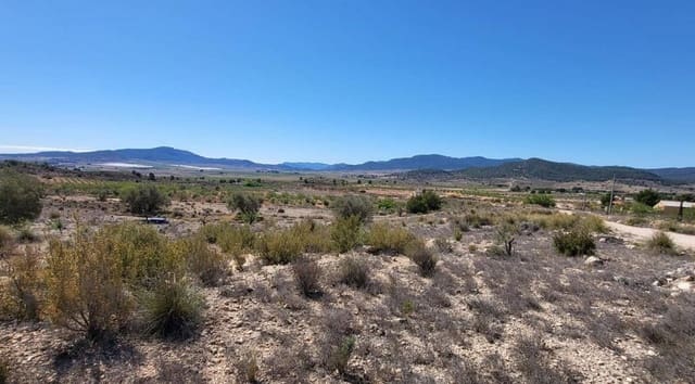 Mark till salu i Monóvar / Monóver - 35 000 € (Ref: 8242454)