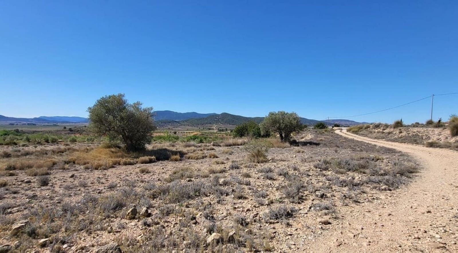 Mark till salu i Monovar / Monover - 35 000 € (Ref: 8242454)