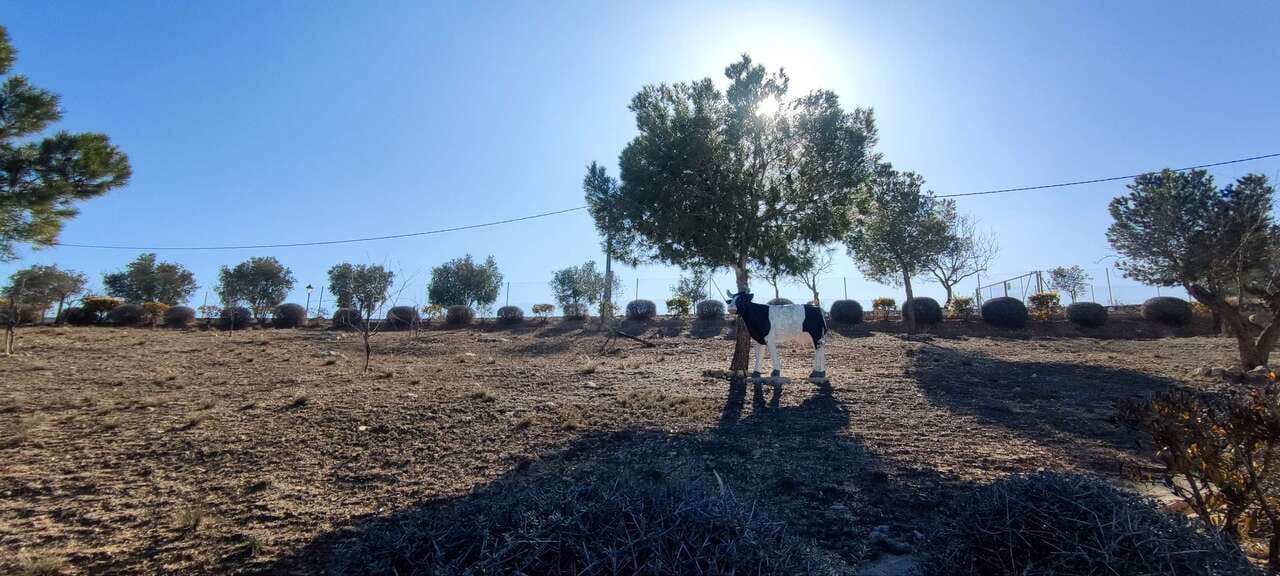 3 bedroom Villa for sale in Pinoso with pool - € 399,995 (Ref: 8953099)