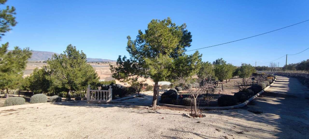 3 bedroom Villa for sale in Pinoso with pool - € 399,995 (Ref: 8953099)