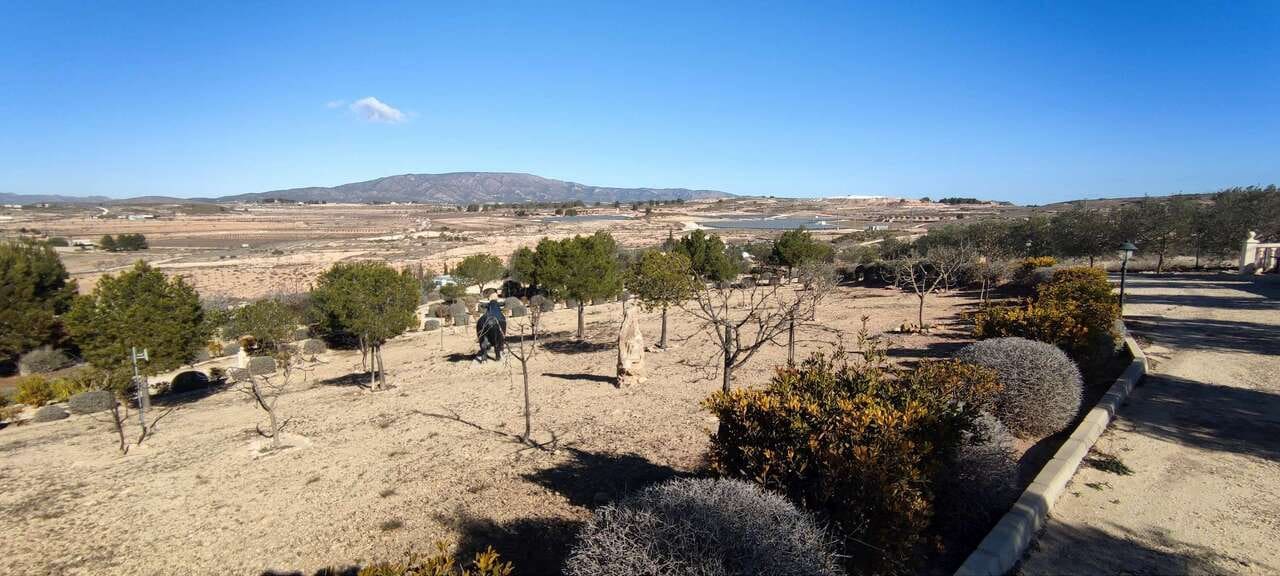 3 bedroom Villa for sale in Pinoso with pool - € 399,995 (Ref: 8953099)