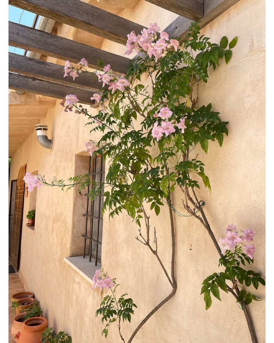 5 quarto Quinta/Casa Rural para venda em Raspay com piscina garagem - 379 995 € (Ref: 8953106)