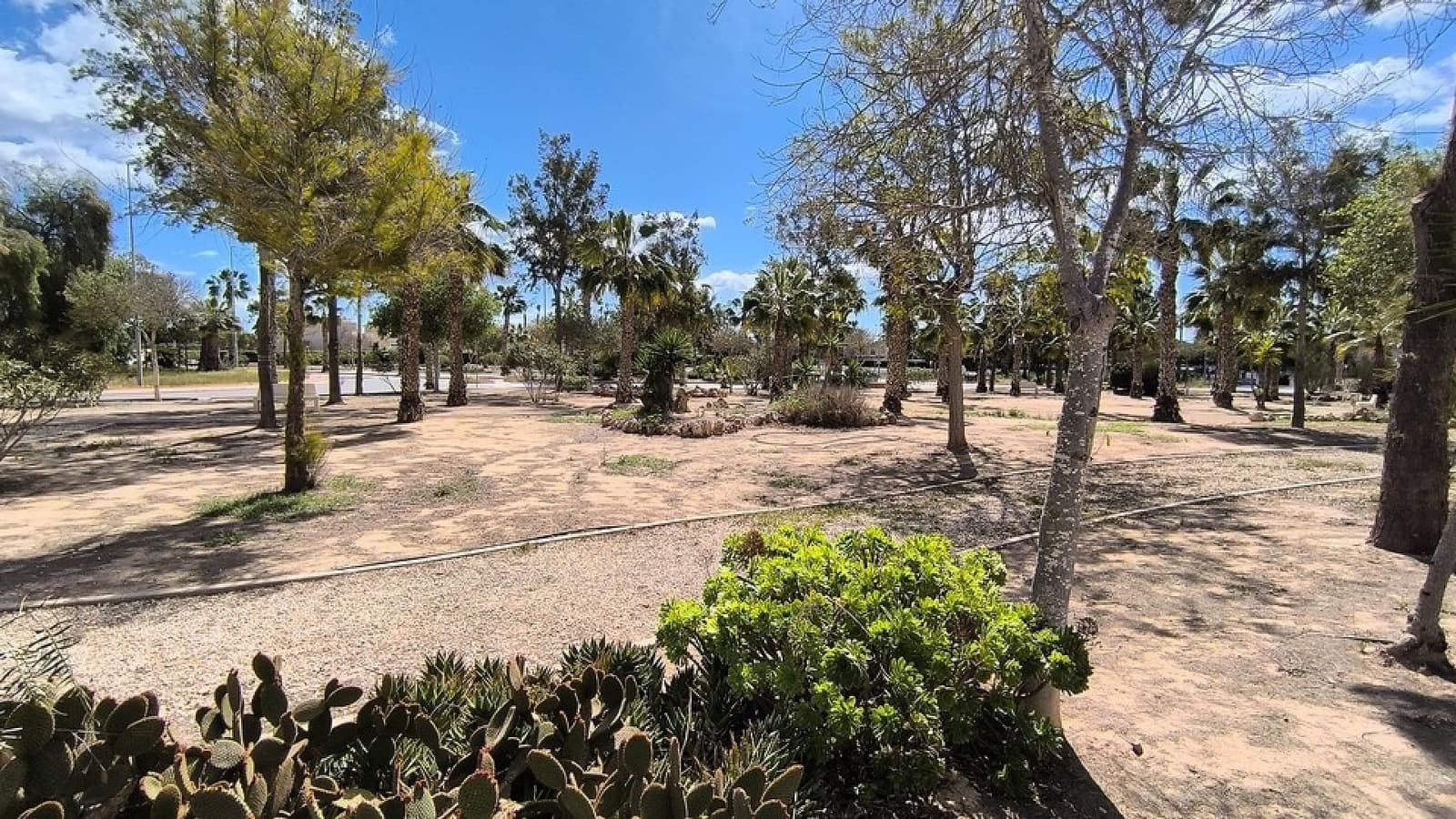 3 bedroom Villa for sale in Guardamar del Segura with pool - € 269,000 (Ref: 8953445)