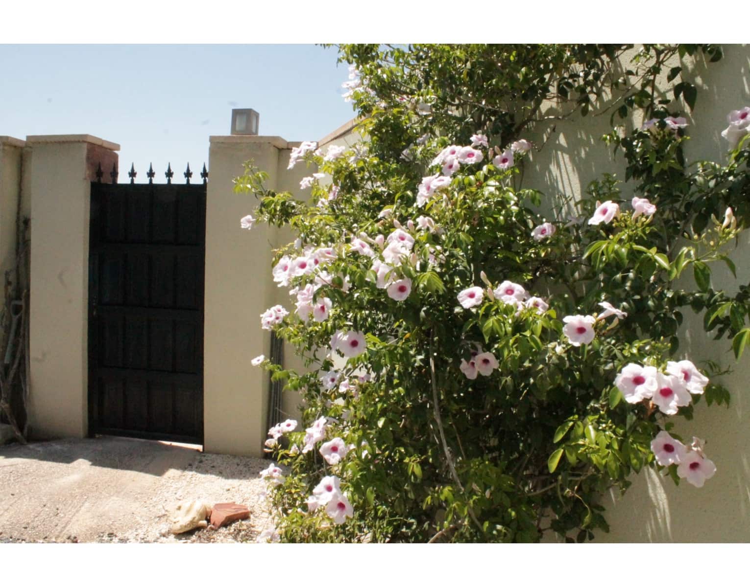 3 soveværelse Villa til salg i Macisvenda med swimmingpool - € 320.000 (Ref: 9040371)