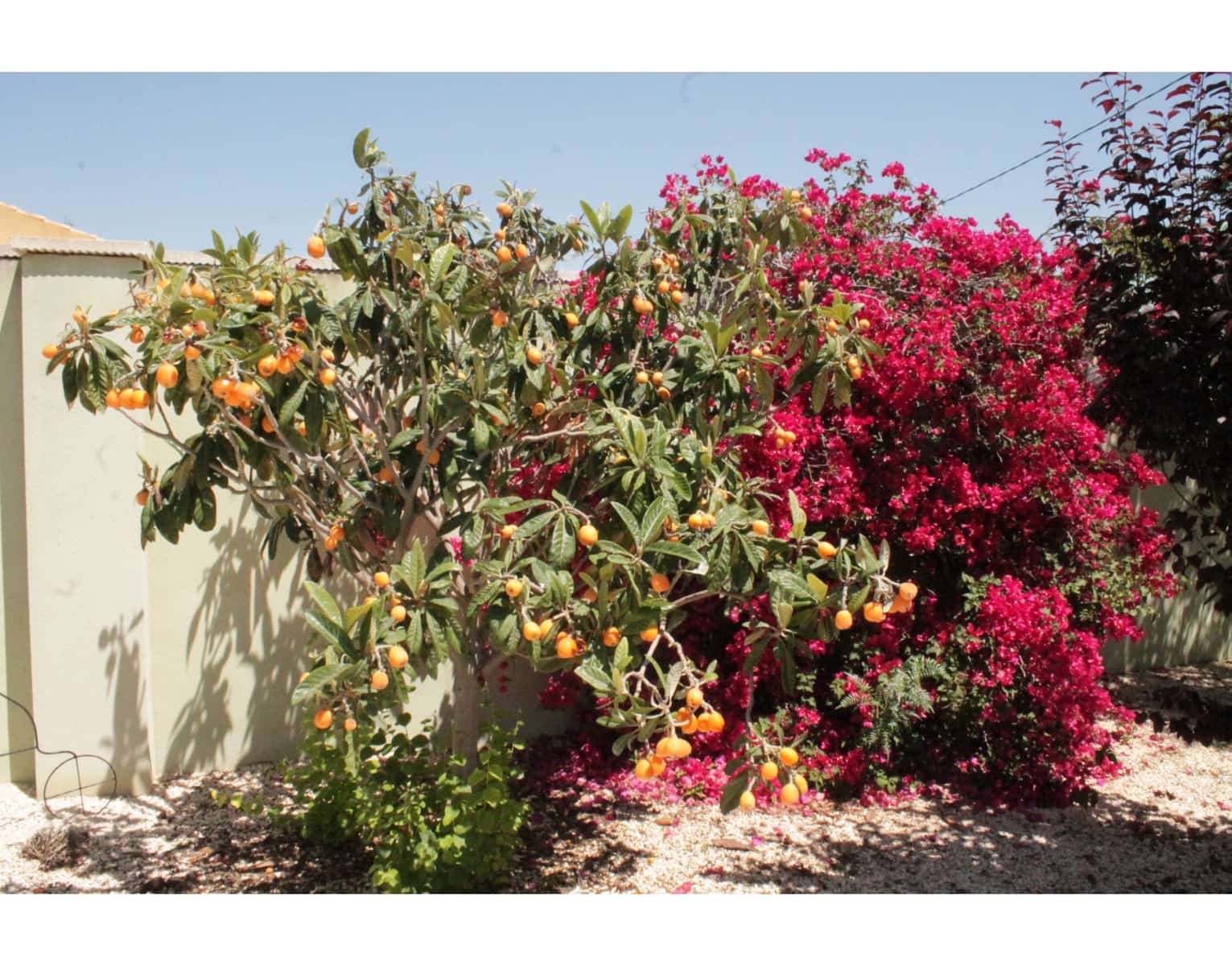 3 soveværelse Villa til salg i Macisvenda med swimmingpool - € 320.000 (Ref: 9040371)