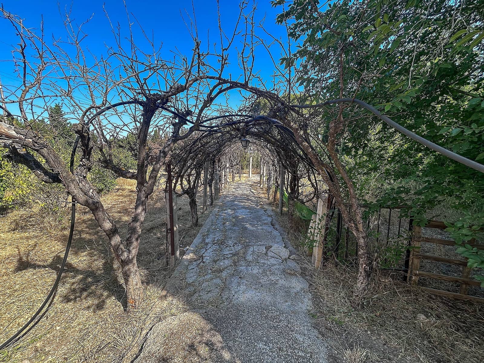 4 soveværelse Finca/Landehus til salg i Sax med swimmingpool garage - € 227.000 (Ref: 9103815)