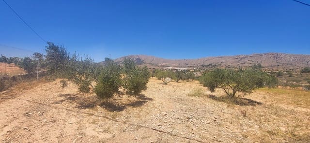 2 soverom Finca/Herregård til salgs i La Romana med svømmebasseng - € 179 999 (Ref: 9133190)