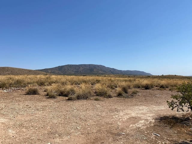 3 quarto Moradia para venda em Pinoso com piscina garagem - 389 995 € (Ref: 9133556)