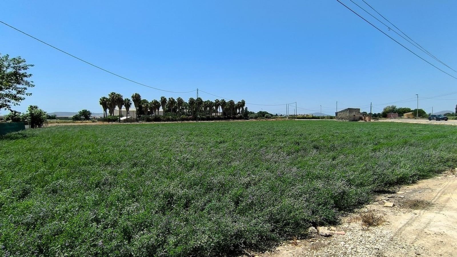 3 makuuhuone Omakotitalo myytävänä paikassa Mudamiento mukana uima-altaan - 170 000 € (Ref: 9133562)