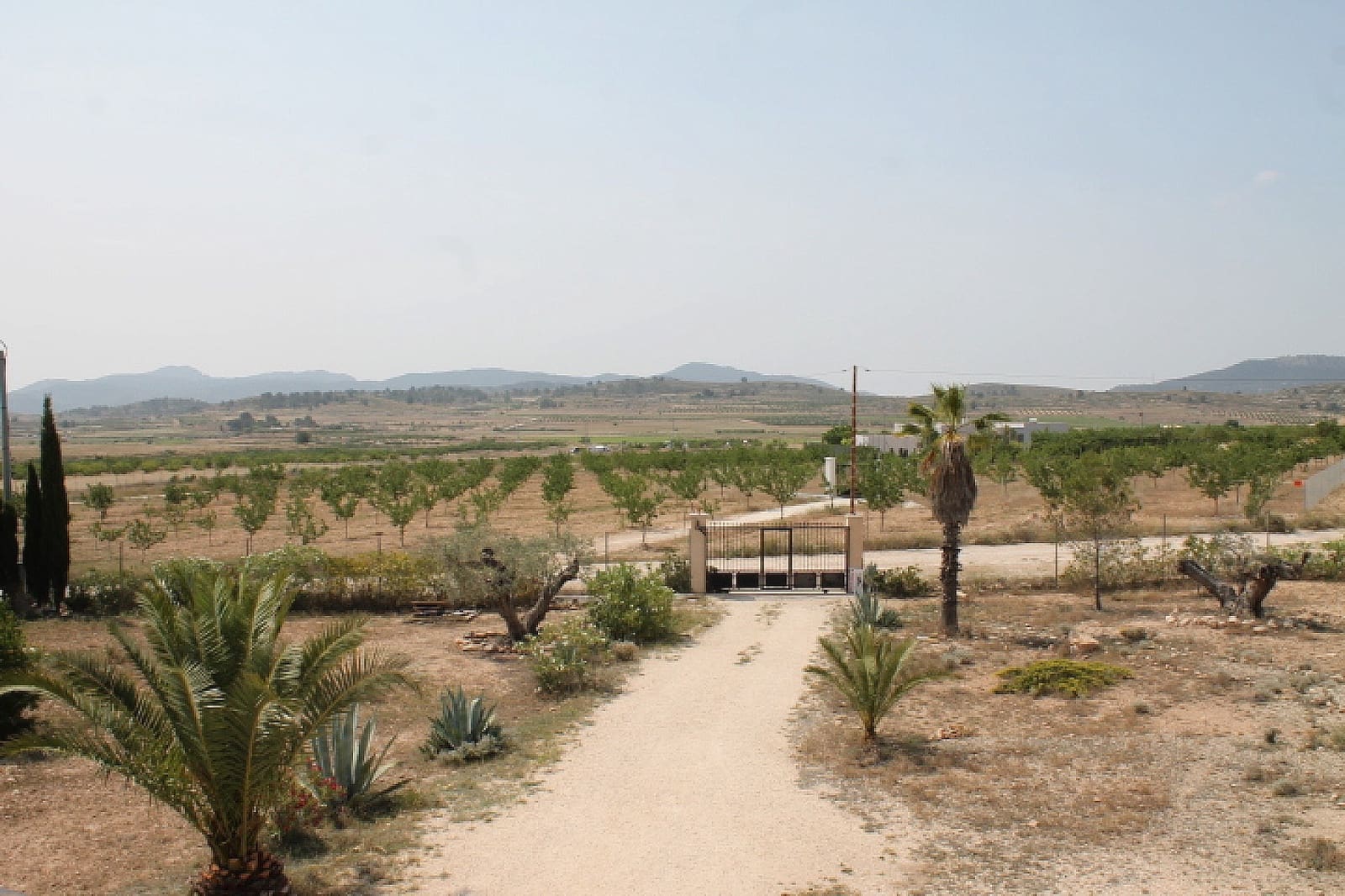 4 soveværelse Finca/Landehus til salg i Pinoso med swimmingpool garage - € 324.000 (Ref: 9156341)