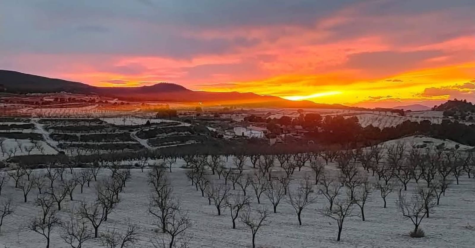 4 soveværelse Finca/Landehus til salg i La Zarza med swimmingpool garage - € 225.000 (Ref: 9251547)